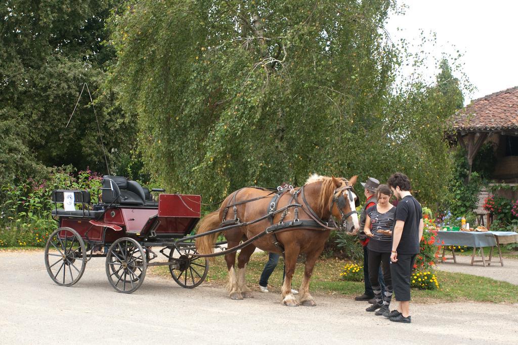 Vescours Ferme De Montalibord 빌라 외부 사진